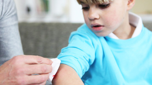 araña patas largas picadura