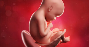 feto 30 semanas