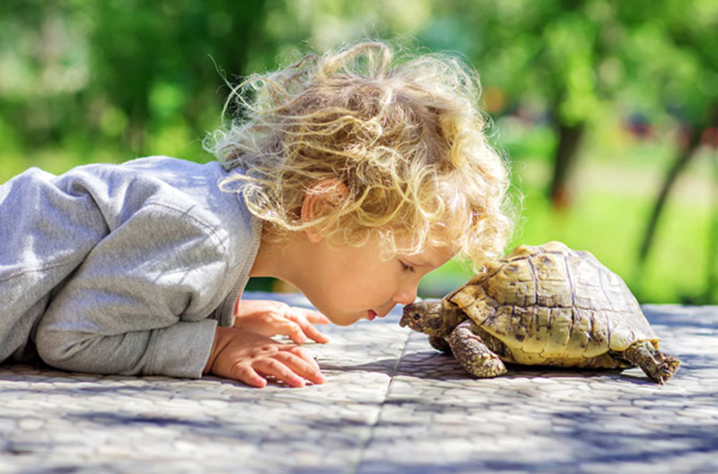 técnica de la tortuga para niños con TDAH