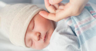 mejor formula para bebes de 0 a 6 meses