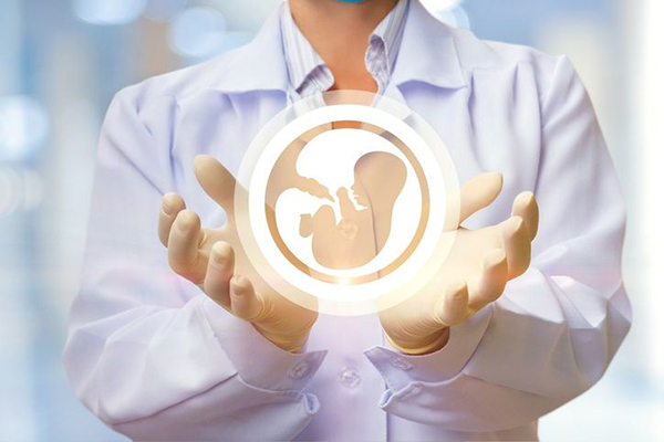 Tratamiento de inseminación artificial paso a paso