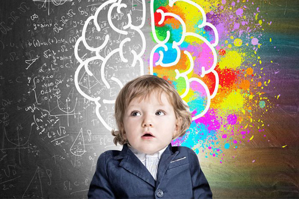 como funciona el cerebro para niños