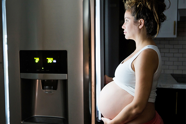 ¿Se Puede Comer Pulpo en el Embarazo? ⇒ 【¡Guía!】 ❤️