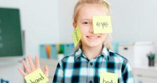 a que edan comienzan a aprender ingles los niños