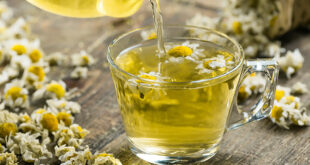 infusiones prohibidas en el embarazo