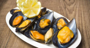 comer mejillones en el embarazo