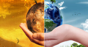 cambio climatico dibujos faciles