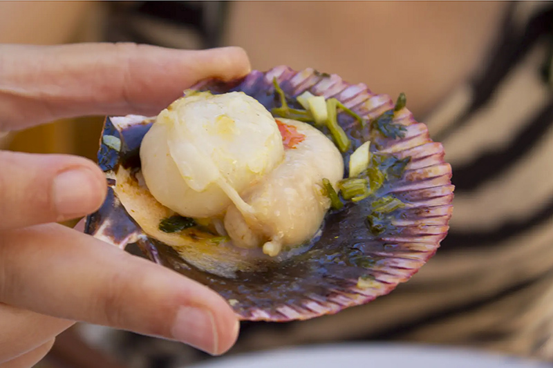 comer zamburiñas en el embarazo