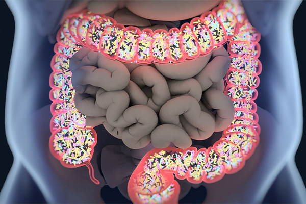 recetas saludables para bebés de 6 a 12 meses