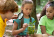 etapas del desarrollo infantil curiosidad