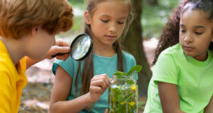 etapas del desarrollo infantil curiosidad