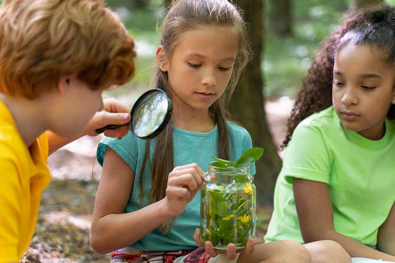 etapas del desarrollo infantil curiosidad
